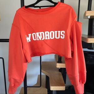 cropped long sleeve from a private boutique